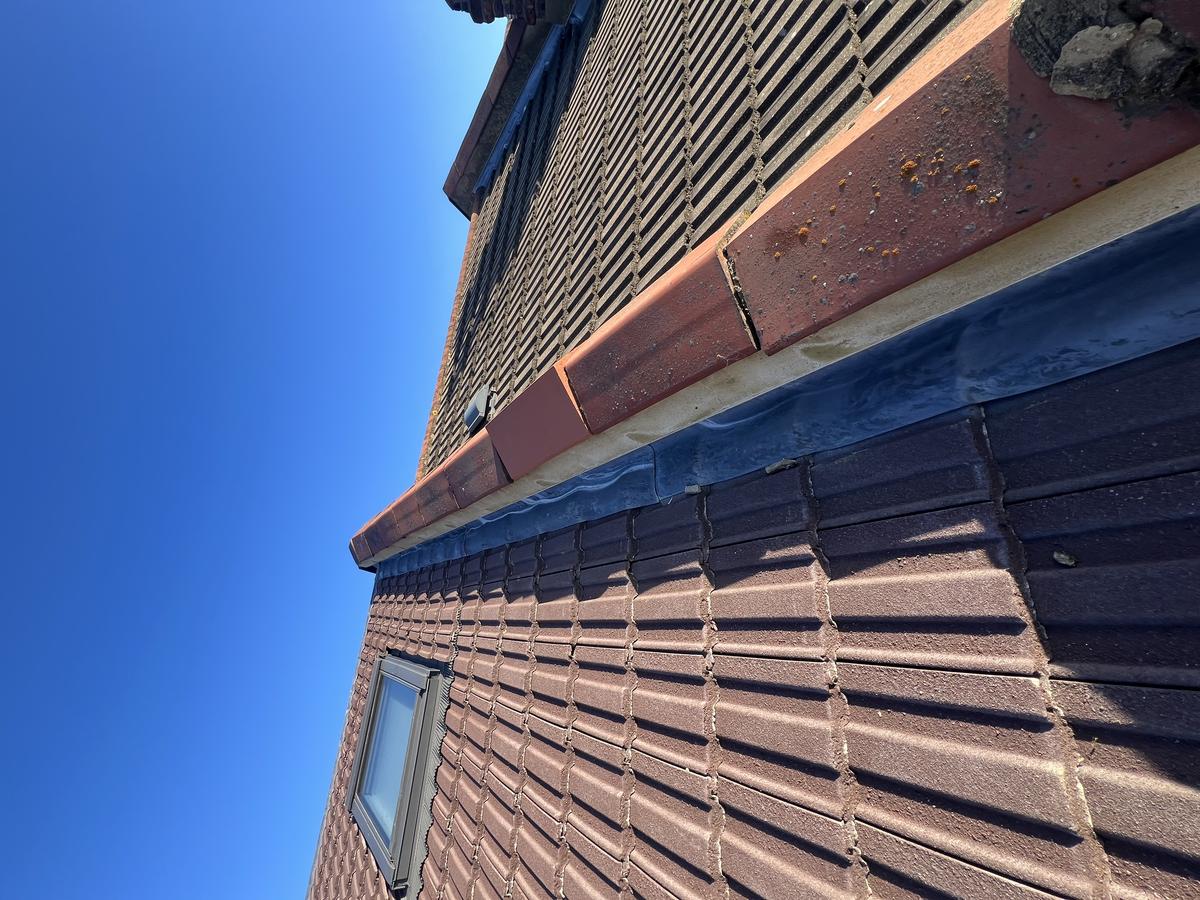 Ridge inspection